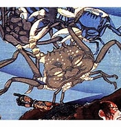 Image result for "heikea Japonica". Size: 176 x 185. Source: www.desertcart.in