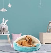 Image result for Precious Tails Cozy Corduroy Sherpa Lined Cave Pet Bed%2c Blue%2c Small. Size: 176 x 185. Source: www.kohls.com