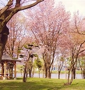 Image result for 砂川市北光. Size: 176 x 185. Source: www.city.sunagawa.hokkaido.jp