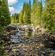 Image result for Hedmark. Size: 182 x 174. Source: www.visitnorway.no