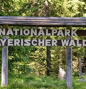 Image result for Bayerischer Wald Steckbrief. Size: 179 x 185. Source: www1.wdr.de