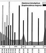 Image result for "scaphocalanus Magnus". Size: 160 x 185. Source: www.researchgate.net