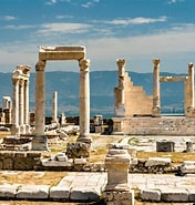 Afbeeldingsresultaten voor Laodicea Pulchra Orde. Grootte: 176 x 185. Bron: worldnewlive.com
