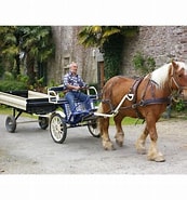 Image result for traction hippomobile. Size: 173 x 185. Source: www.tracthorse.com