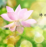 Image result for 禮節的重要. Size: 178 x 185. Source: www.youtube.com