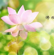 Image result for 禮節的重要. Size: 181 x 185. Source: www.youtube.com