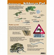 Image result for Dieren Biologie feiten. Size: 180 x 185. Source: www.pinterest.com