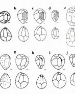 Image result for "ostreopsis Labens". Size: 147 x 185. Source: www.researchgate.net