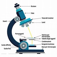 Image result for Microscopio significato. Size: 184 x 185. Source: www.microbiologiaitalia.it