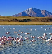Image result for Bolivien Reisen für Natur. Size: 176 x 185. Source: bolivien.de