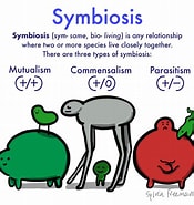 Afbeeldingsresultaten voor Advantages and Disadvantages of Symbiosis. Grootte: 175 x 185. Bron: erikmeowsalinas.blogspot.com