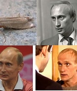 Image result for Тор Гидра. Size: 157 x 185. Source: hydra-onions.shop