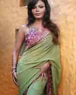 Image result for Rakhi Sawant Saree. Size: 150 x 187. Source: unifashion.blogspot.com