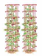 Tamaño de Resultado de imágenes de 6 foot Tall Tomato Cages.: 146 x 195. Fuente: www.gardeners.com