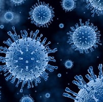 virus に対する画像結果.サイズ: 202 x 200。ソース: www.medicalnewstoday.com