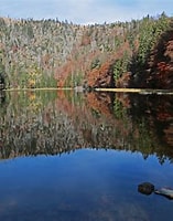 Image result for bayerischer wald steckbrief. Size: 157 x 200. Source: wallpapercave.com