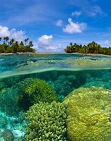 馬紹爾群島 的圖片結果. 大小：157 x 197。資料來源：bitcoinist.com