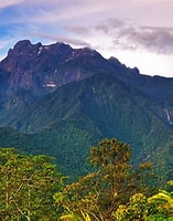 Image result for Borneo. Size: 157 x 200. Source: www.lonelyplanet.com