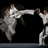 Image result for 武術. Size: 202 x 200. Source: taekwondotickets.blogspot.com