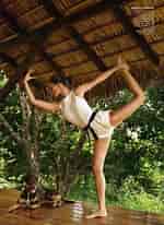 Image result for Gisele Bundchen Yoga Workout. Size: 150 x 206. Source: www.pinterest.com