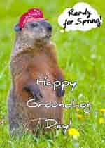 Image result for Groundhog Day Cards. Size: 150 x 210. Source: www.pinterest.com