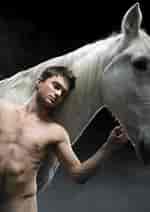 Kuvatulos haulle "daniel Radcliffe" Equus. Koko: 150 x 212. Lähde: www.pinterest.com