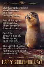 Image result for Groundhog Day Cards. Size: 150 x 225. Source: old.sermitsiaq.ag