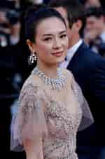 Image result for Ziyi Zhang. Size: 150 x 226. Source: www.hawtcelebs.com