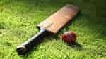 Image result for A Cricket Bat. Size: 150 x 84. Source: spyn.co