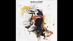 Peter Doherty Grace / Wastelands ਲਈ ਪ੍ਰਤੀਬਿੰਬ ਨਤੀਜਾ. ਆਕਾਰ: 150 x 84. ਸਰੋਤ: www.youtube.com