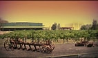 Image result for Andrew Peace Chardonnay Estate