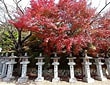 Image result for 桜井市 古墳 歴史