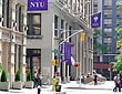 Bilderesultat for New York University