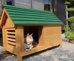 Image result for 犬小屋作り方. Size: 107 x 88. Source: www.inugoyak.com