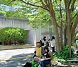 大阪教育大学附属天王寺高等学校 wikipedia に対する画像結果