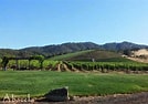 Image result for Abacela Tempranillo