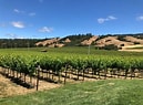 Image result for Navarro Riesling Cluster Select Late Harvest