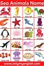 Image result for Sea Creatures List. Size: 64 x 96. Source: onlymyenglish.com