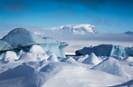 Image result for "saccospyris Antarctica". Size: 147 x 96. Source: explorerspassage.com