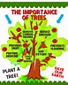 Image result for Arbor Day Tree Types. Size: 77 x 96. Source: www.pinterest.com