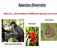Afbeeldingsresultaten voor Type 2 Species Examples. Grootte: 115 x 97. Bron: www.slideserve.com