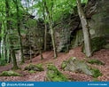Image result for Bavarian Forest Type of Rock. Size: 123 x 98. Source: www.dreamstime.com