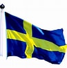 Image result for Sveriges Flagga. Size: 97 x 98. Source: bolist.se