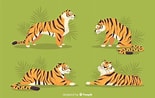 Image result for tiger lebenszyklus. Size: 155 x 98. Source: jennifferfrazer.blogspot.com