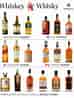 Billedresultat for Types of Whisky. størrelse: 74 x 98. Kilde: www.pinterest.jp