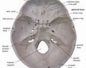 Image result for Foramina parietalia Anatomie. Size: 124 x 98. Source: srkmacplhvofv.blogspot.com