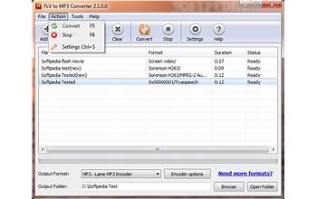 FLV to MP3 Converter screenshot #6