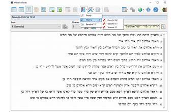 Hebrew Words screenshot #4