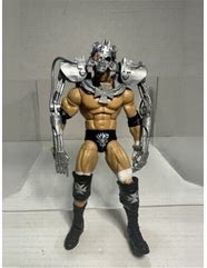 Image result for WWE Triple H Action Figure