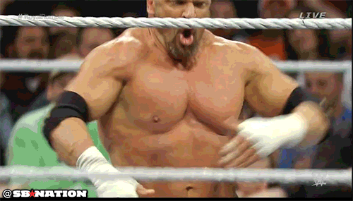 Triple H Suck It 81